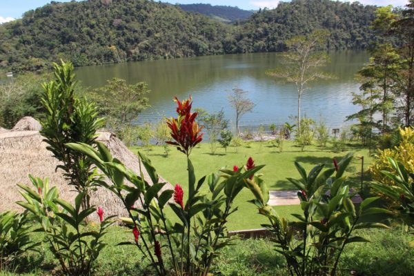 Precio de tour a laguna Azul y la amazaonia con History adventure