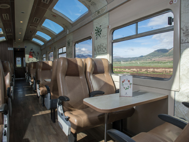 Interior del tren Expedition