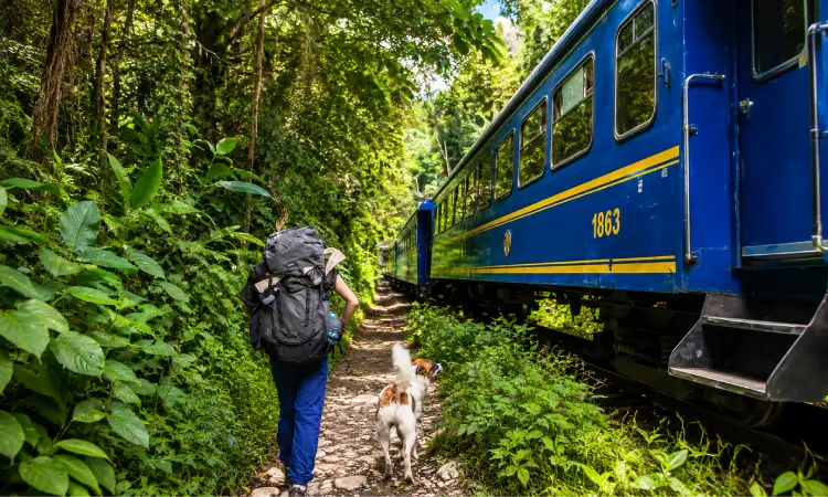 Tren junto a la ruta de caminata del Machu Picchu By Car 2 días
