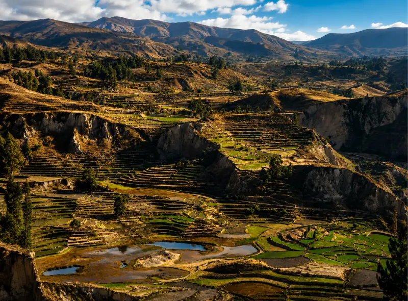 Andenerías tradicionales y paisaje del Valle del Colca durante el trekking de 2 días